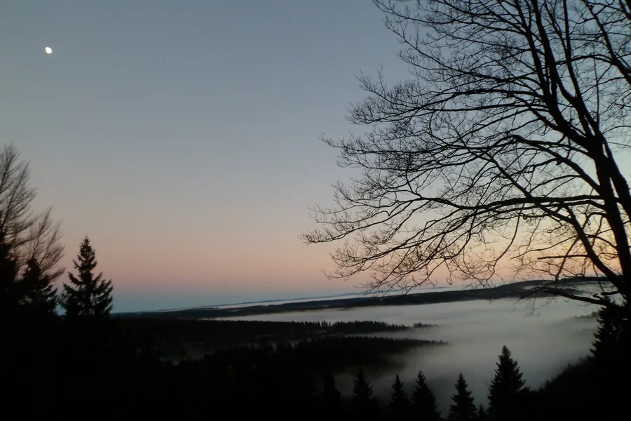 Mond am hellen Himmel über Waldhügeln und Nebelbändern, rechts ein kahler Baum.