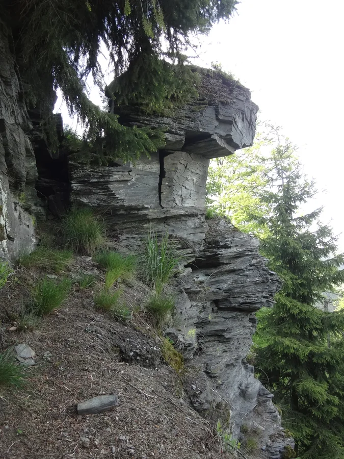 Geschichtete Felswand unter Nadelbaumzweigen am Rand eines schmalen Waldwegs.