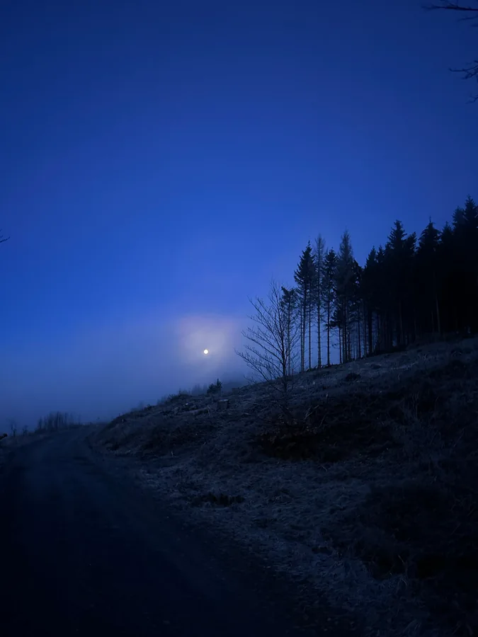 Ein heller Mond über einem dunklen Waldhang und einem Weg im blauen Dämmerungslicht.