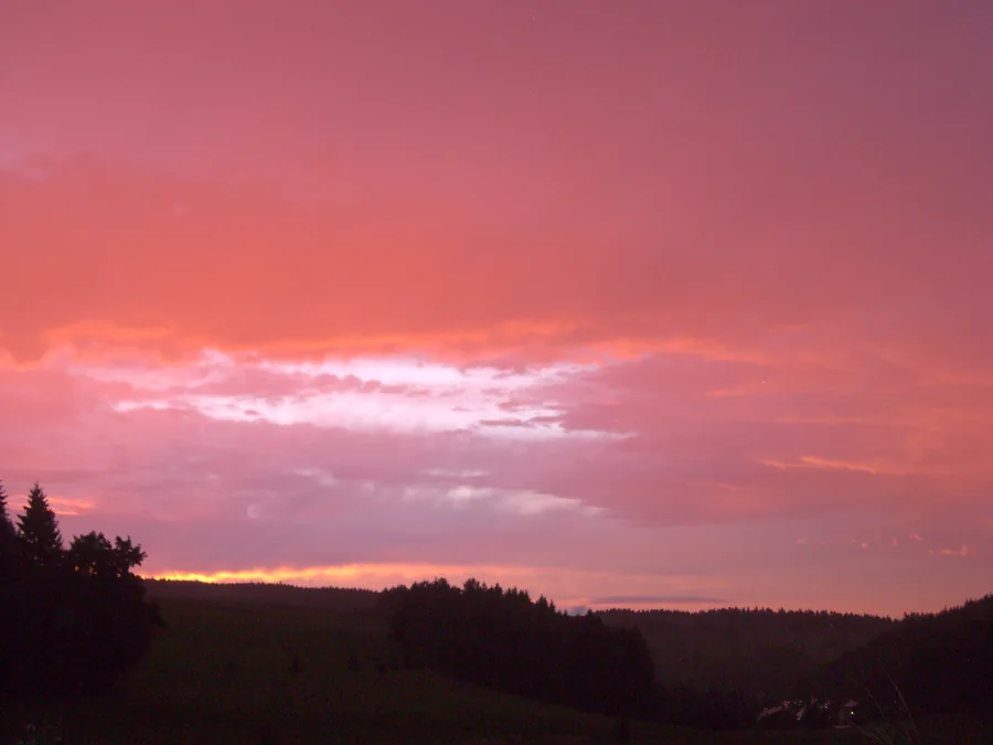 Rosa und orange leuchtende Wolken über dunklen Waldsilhouetten.