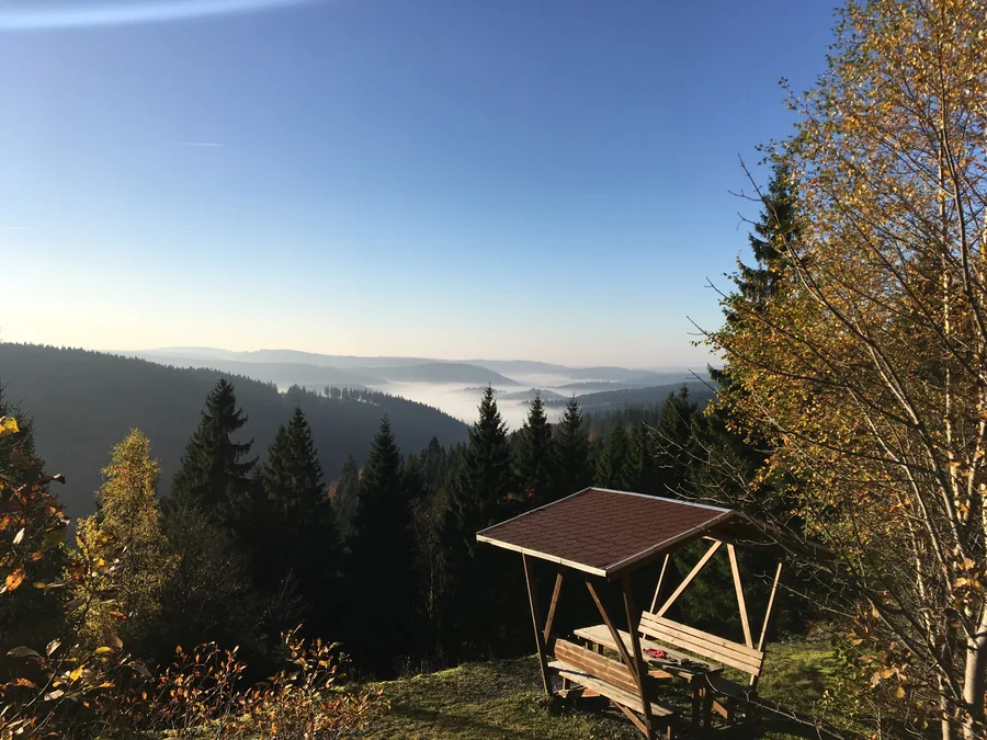 Überdachte Holzbank am Waldrand mit Blick über bewaldete Hügel und Nebel in den Tälern.