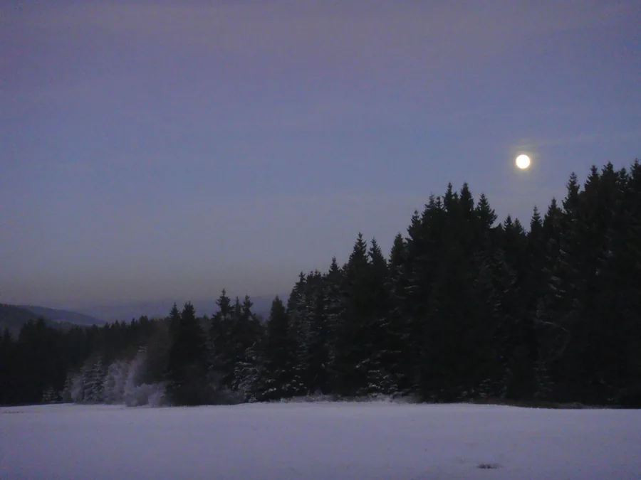 Heller Mond über dunklen, schneebedeckten Nadelbäumen und einer weißen Wiese.