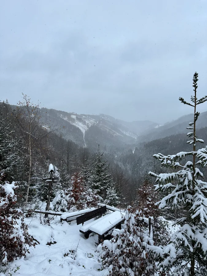 Schneebedeckte Sitzbank über einem bewaldeten Tal, dessen Hänge im Dunst verschwinden.
