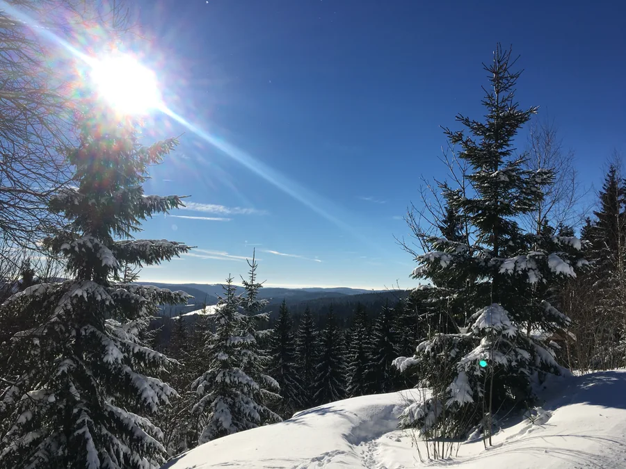 Sonne und blauer Himmel über verschneiten Nadelbäumen und fernen bewaldeten Höhen.