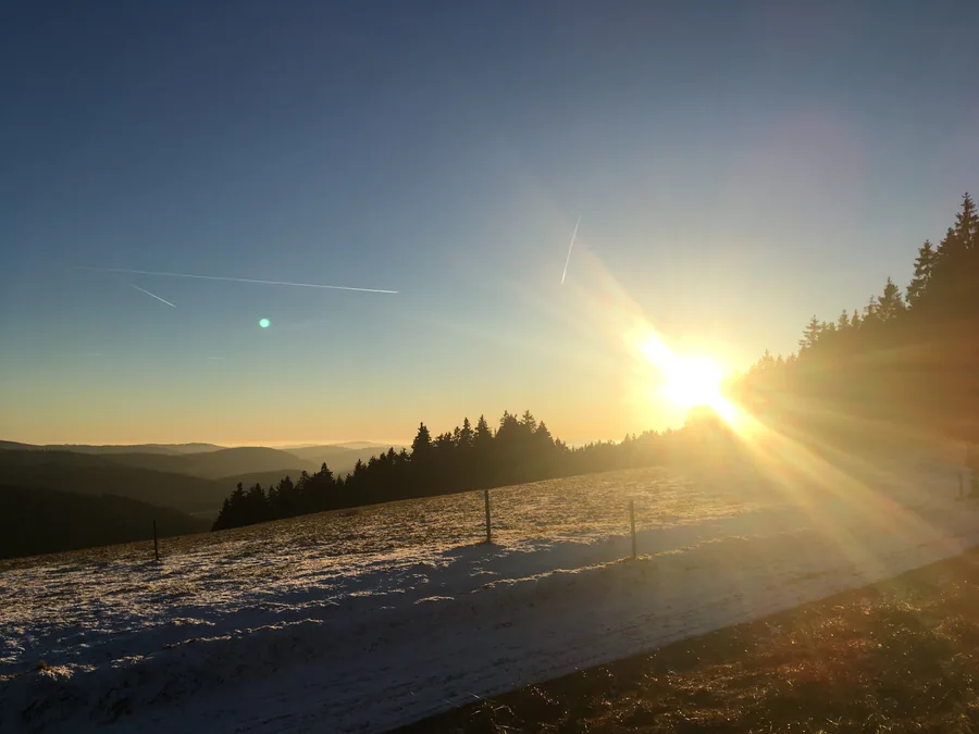 Tief stehende goldene Sonne über einer verschneiten Wiese und dunklen Waldhöhen.